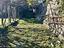 Immagine 27