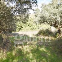 Terreno Agricolo Sant'Antonio di Gallura