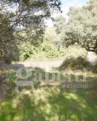 Terreno Agricolo Sant'Antonio di Gallura