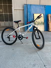 Bici misura 24