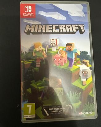 Gioco nintendo switch minecraft