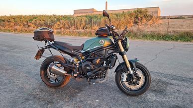 Benelli Leoncino 800 02/2025