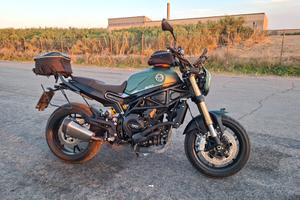 Benelli Leoncino 800 02/2025