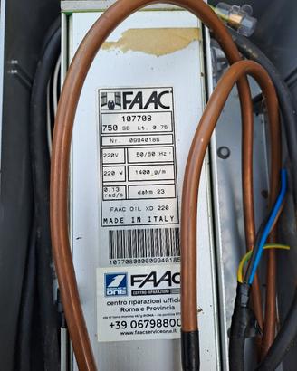 automatismi faak