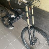 Bici discesa o enduro