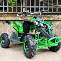 New MINI QUAD 800w LION r6 ELETTRICO Verde