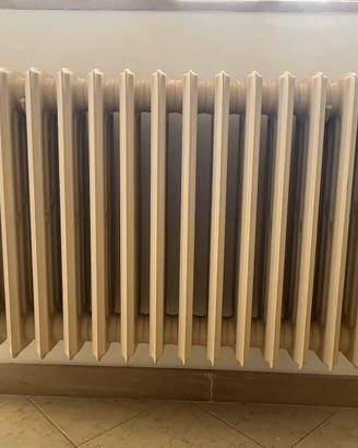 Termosifone in ghisa