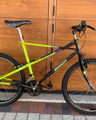 Bianchi thomisus