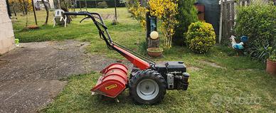 motozappa Lombardini