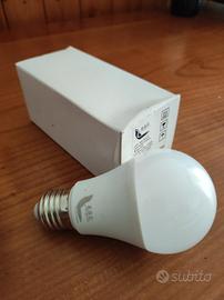 lampadine e luci LED