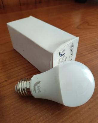 lampadine e luci LED