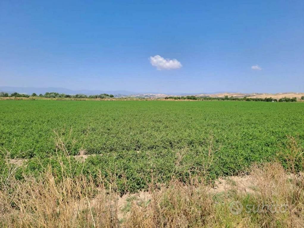 Immobile in asta di 19410 m² a Crotone - Vista 4