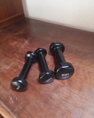 3 manubri palestra da 1 kg – pesi fitness