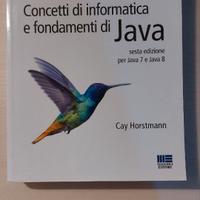 Concetti di informatica e fondamenti di Java