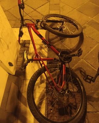 MTB street vibes – pronta a dominare la strada 🚲
