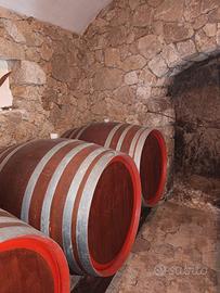 botti per vino in rovere 