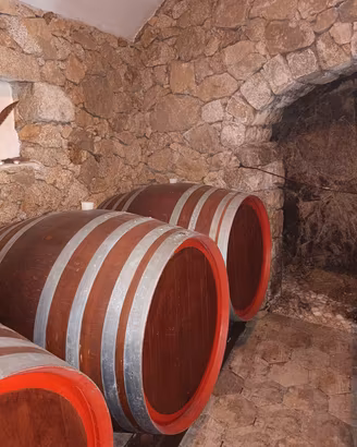 botti per vino in rovere 