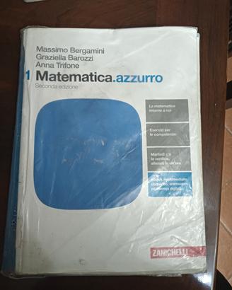 matematica azzurro 1