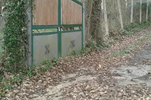 Terreno agricolo in Candida (AV)