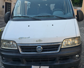 Fiat ducato 9 posti diesel 2.3 jtd 110 cavalli