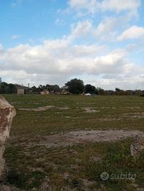 Platamona-Terreno oltre 2 ettari, vicino al mare