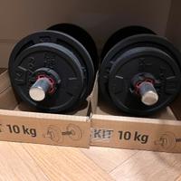 2 Manubri palestra con pesi 10 kg