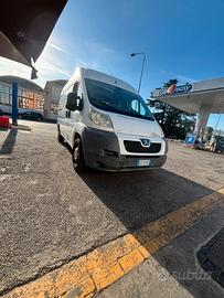 Peugote boxr