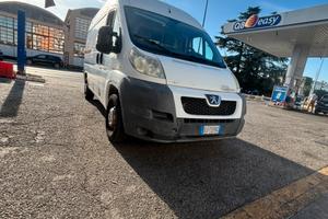 Peugote boxr