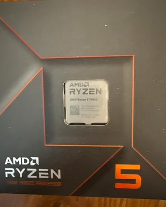 AMD Ryzen 5 7600X