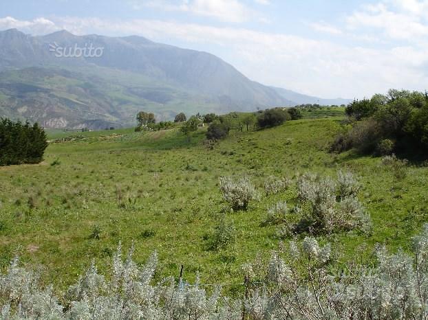 Terreno edificabile fino a 3 lotti a Cerda (Pa) - View 2