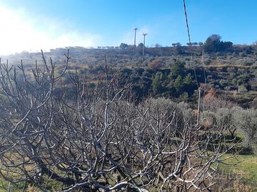 Terreno edificabile zona zambroglio ferrandina