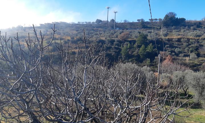 Terreno edificabile zona zambroglio ferrandina