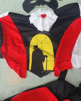 Vestiti Carnevale 2 bambini + 2 genitori