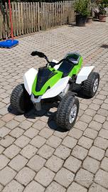 quad elettrico 