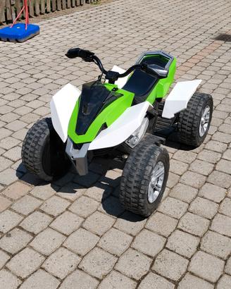 quad elettrico 