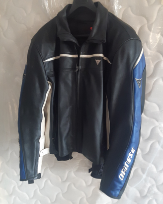 Giubbino giubbotto Dainese
