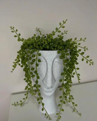 Vaso testa di marmo