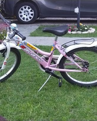 Bicicletta