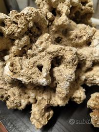 Rocce indonesiane 