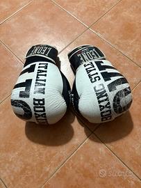 Guantoni Boxe Leone