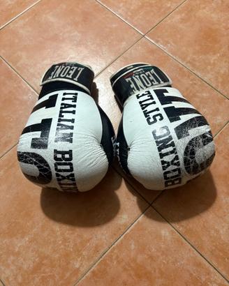 Guantoni Boxe Leone