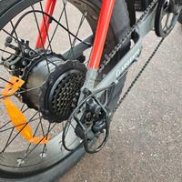 Bici elettrica con motore