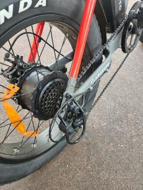 Bici elettrica con motore