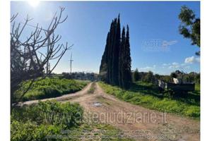 Azienda Agricola Villacidro [A4340543]