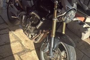Hornet 600 2006