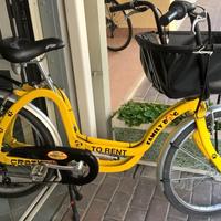 Family bike _ Pet bike