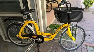 Family bike _ Pet bike