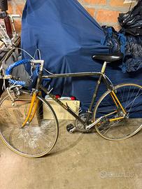 Vetta super leggera  modello unico