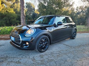 Mini 1.5 One D