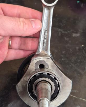 Albero Motore MAZZUCCHELLI spalle piene corsa 51